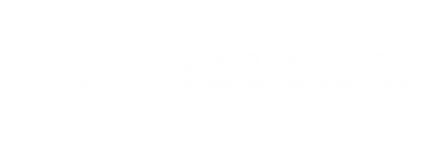 Wirtschaftsjunioren AGORA LAUSITZ